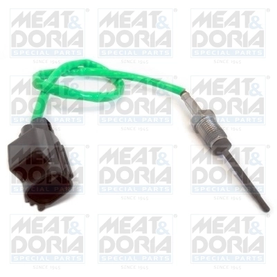 Sensor, exhaust gas temperature